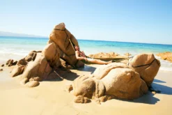 Monkey Swing Hängematte Inkl. Aufhängeset I 275 X 140 Cm I Reise,Camping,Outdoor -Grünwelt Exporteren Garten-Winkel 0bebb2efa64e62620d957a0450e24d9f