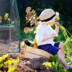 Relaxdays Gewächshaus Mit 3 Fenstern -Grünwelt Exporteren Garten-Winkel 12d13363957a43cff5402b7aeea324e2