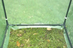 Westfalia Tomaten Gewächshaus "Groß", Ca. 200 X 77 X 170 Cm, LxBxH -Grünwelt Exporteren Garten-Winkel 158a2d6526ab73b4db753e28d62664fb