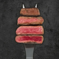 Kontaktgrill Tischgrill Sandwichtoaster Mit 6 Programmen - 2000W MAXXMEE -Grünwelt Exporteren Garten-Winkel 15d4e90b438d07c545251591a53d6e80