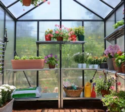 Palram - Canopia Aluminium Gewächshaus Glory 88 | Grau | 244x244x268 Cm -Grünwelt Exporteren Garten-Winkel 1b629ab1626cc39b9953e6ba76cb7350