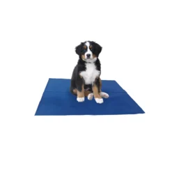 Hundematte, Kühlmatte Cooling Mat, Kühlende Unterlage Für Ihr Haustier. Kühlmatte Für Hunden Und Katzen. Selbstkühlend. Perfekt Für Die Heißen Sommertage.