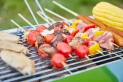 Steinborg Klappgrill | Laptopgrill | Campinggrill | Blitzschneller Aufbau | Hitzebeständiger Rahmen | Grün -Grünwelt Exporteren Garten-Winkel 276f79136d91056da65b1bbea2e29221
