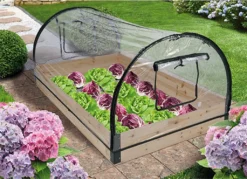 Gewächshaus Mit Holzrahmen Und Dach 120 X 80 X 50 Cm -Grünwelt Exporteren Garten-Winkel 36c703be4cd5d547248af7f36537600e