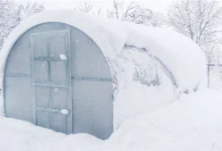 Gewächshaus KLASIKA 12 (3x4m) Mit Fundamenten Und 4mm Polycarbonat; -Grünwelt Exporteren Garten-Winkel 54bc0b4881d94837207d65bcb64381f8