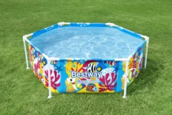 Bestway® Steel Pro™ Aufstellpool Mit Sonnenschutzdach "Splash-in-Shade" Ohne Pumpe Ø 183 X 51 Cm, Buntes Unterwasser-Design, Rund -Grünwelt Exporteren Garten-Winkel 572dcd44fa64b78fddeb5985f5cbccc5
