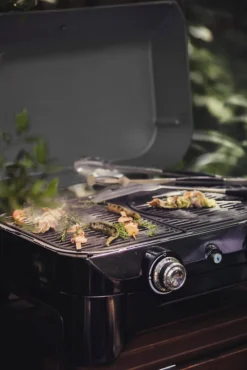 Campingaz Gasgrill Attitude LX -Grünwelt Exporteren Garten-Winkel 5905ecee6554e9bba924005a8743af6b