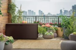 Keter Emily 280 L Braun Garten Truhe 6 Keter Emily 280 L Braun Garten Truhe -Grünwelt Exporteren Garten-Winkel 6829dee4cbf4d74985ac42c7e5f874db