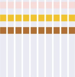 100x Pool Teststreifen 3in1 Chlor Brom PH Wert Alkalität Pooltester Wassertester Poolzubehör -Grünwelt Exporteren Garten-Winkel 83ec664183b608cad901c19913bccf48