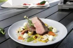 Tepro "Toronto Steakgrill" Gas Oberhitzegrill 800°C -Grünwelt Exporteren Garten-Winkel a55016a6a8076a53fe98e6f167ec022e