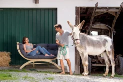 Gartenbank / Gartensofa 2-Sitzer Amazonas Siena Due Kissen Anthracite -Grünwelt Exporteren Garten-Winkel b3a8fbdc191fb134ad698cdeacec9468