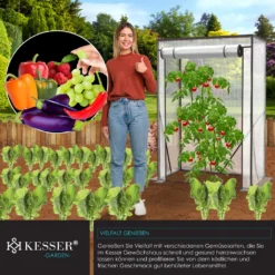 KESSER® Premium Tomatengewächshaus Foliengewächshaus, Gewächshaus Klein, Tomatenhaus, Treibhaus Mit Tür Zum Aufrollen - 100 X 50 X 150 Cm Frühbeet, Gemüse, Blumen, Obst, Garten, Farbe:Transparent, Größe:100 X 50 X 150 Cm -Grünwelt Exporteren Garten-Winkel bb5ae80d3aa8b88992f8de5a369c053f