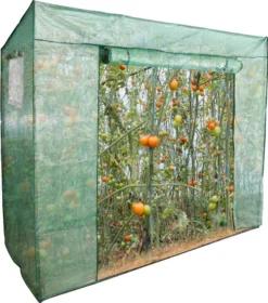 EINFEBEN Foliengewächshaus Gewächshäuser Treibhaus Tomatenhaus Pflanzenhaus Grün 200*80*170CM