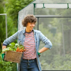 Relaxdays Begehbares Gewächshaus Mit 4 Fenstern -Grünwelt Exporteren Garten-Winkel bd85c6fbfd8baf6d4b8a3ea359641bc9