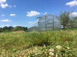 Gewächshaus BALTIC LT 3x4m (L X B) Mit 4 Mm Polycarbonat. -Grünwelt Exporteren Garten-Winkel e4f407f41e1318be32ab1c548f06e8af