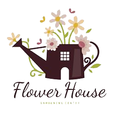 Grünwelt Exporteren Garten-Winkel